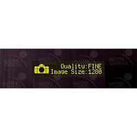 Matrix Orbital BLC2021-BL-USB-IY PC Bay Inserts, LCD Characters 20x2 Yellow Txt, USB Black Background