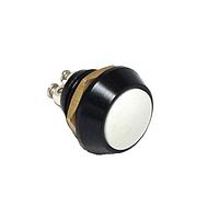 E-Switch PV5S64011 Anti-Vandal Anti-Vandal PB Swch Off-(On) blk-blk