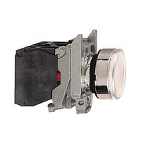 SCHNEIDER XB4BW3165 Flush PUSHBUTTON INCNDSNT 250V 22MM XB4