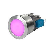 Schurter 3-102-789 Standard Switches MSM19 Switch MO NX SPDT 5A AI RGB 24VDC