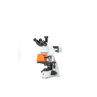 Euromex BS.3153-PLi bScope Trinocular microscope for LED fluorescence (10x/20 mm, plan PLi: 4x, 10x, S40x, S100x)