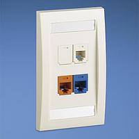 Panduit CFKE4F5U5J3FMF Modular Connectors / Ethernet Connectors Faceplate 4 Port Exec 2 Cat5e 1