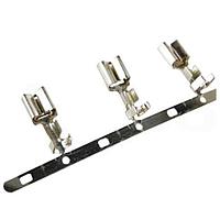 Yazaki 7116292902 Terminals TERM MF-H-SN FEM 6.3MM UNSLD