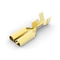 AMP Connectors - TE Connectivity 170032-2 Receptacle .250 RECP FASTON Reel of 6000