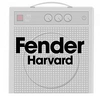 Hammond Manufacturing 290HAX Power Transformers Fender Harvard, 120V @ 60 Hz, 550Vct @ 100mA