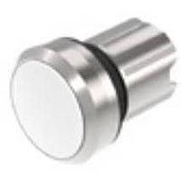 EAO 45-2134.2190.000 Switch Actuators Metal 2Pos WHT Maint