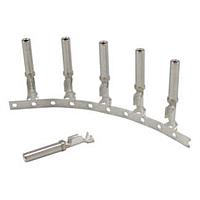 AMP Connectors - TE Connectivity 1924464-1 Contact Reel of 4000