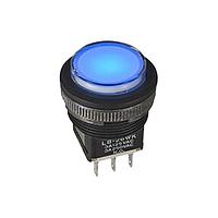 NKK Switches LB15RKG01-BJ Pushbutton SWITCH TOGGLE