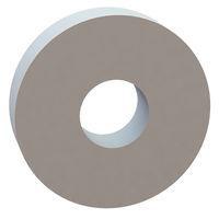 Essentra Components 17W08901 Flat Washer Flat Washer, .315 ID, .890 OD, .215 Thick