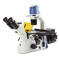Euromex OX.2453-PLF Inverted Oxion trinocular microscope for fluorescence (WF10x/22mm, 10x/20x/40x)